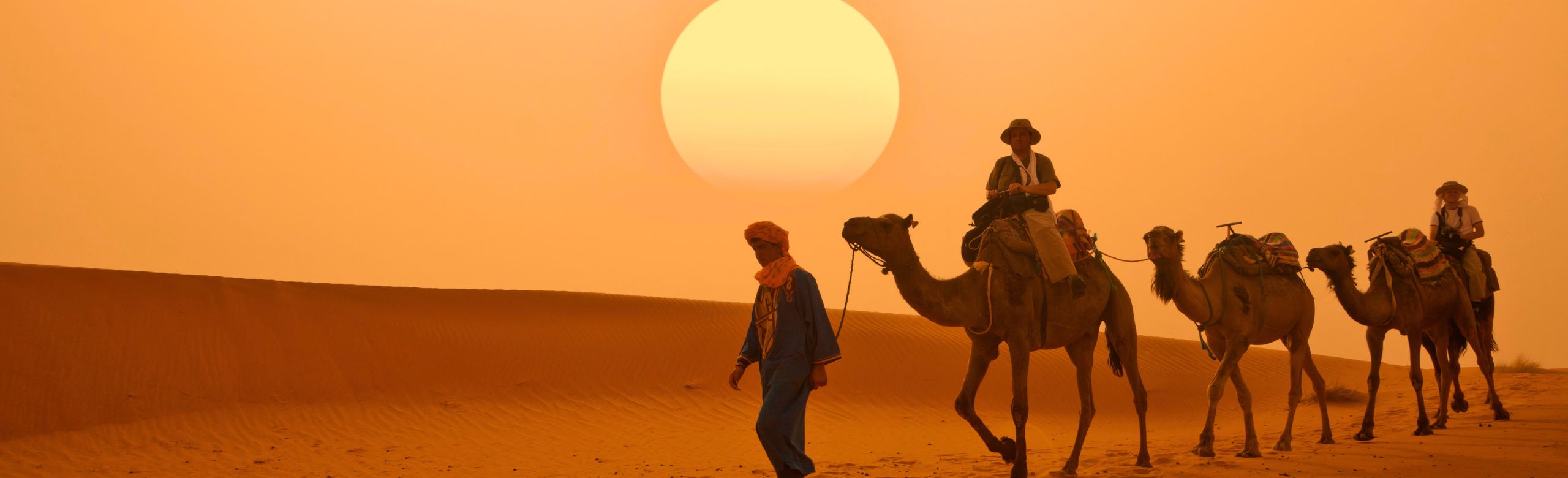 desert safari